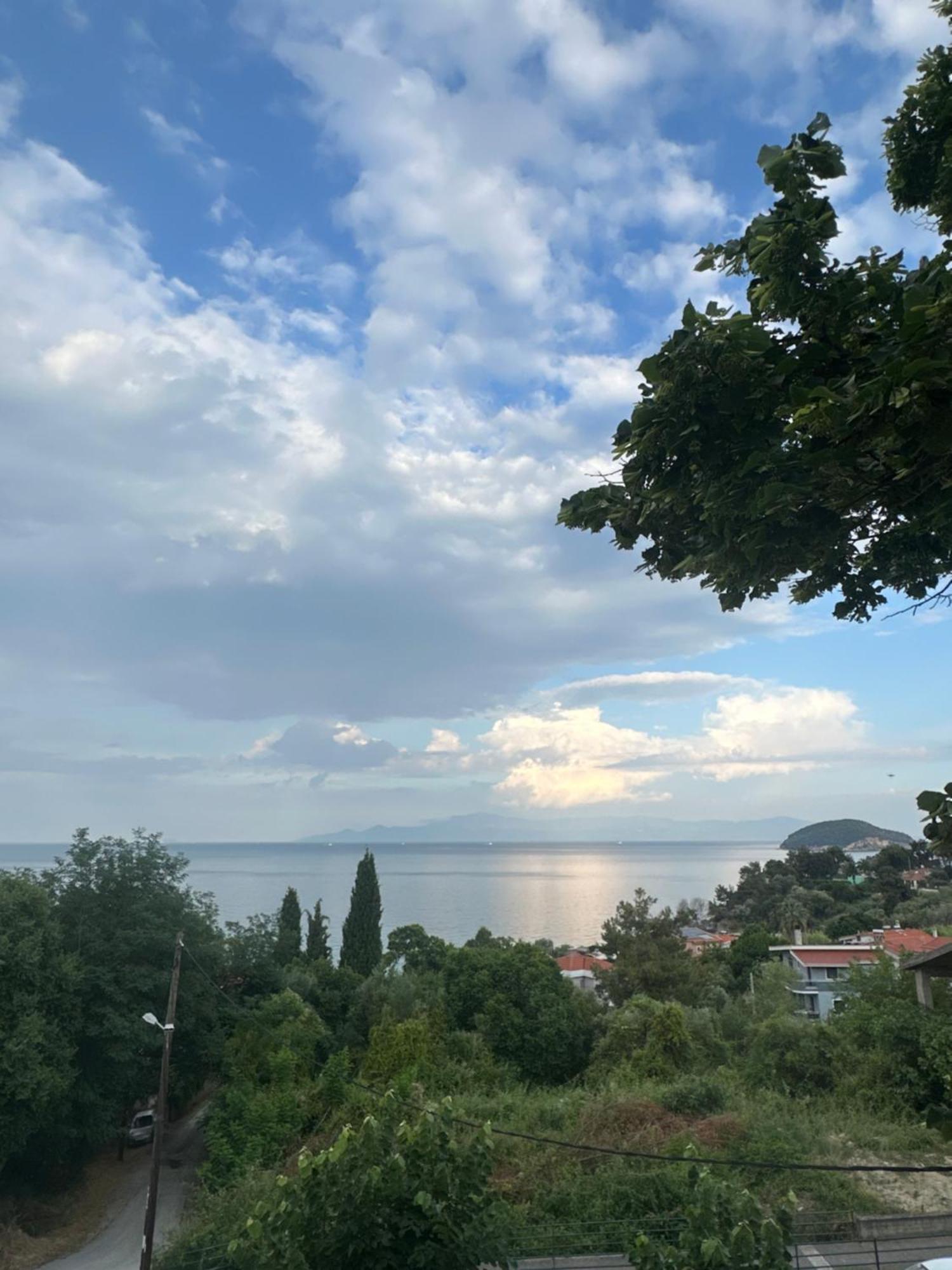 Ferienwohnung Olivia -Ελιά PalaiónTsiflíkion Exterior foto