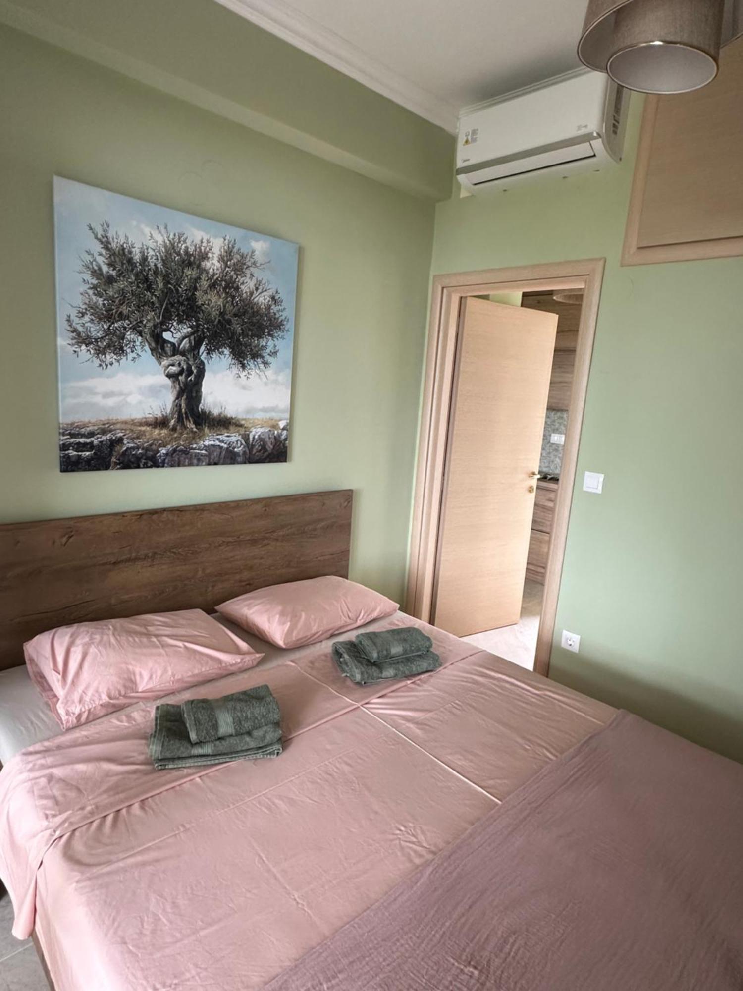 Ferienwohnung Olivia -Ελιά PalaiónTsiflíkion Exterior foto